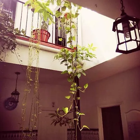 Virgen De La Luz Pensión